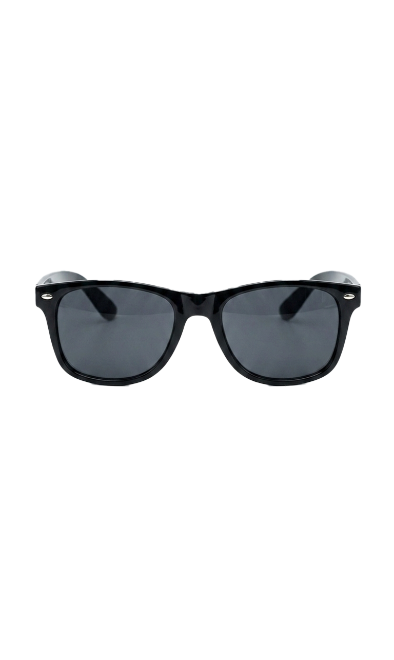 Men's Classic Black Wayfarer Sunglasses